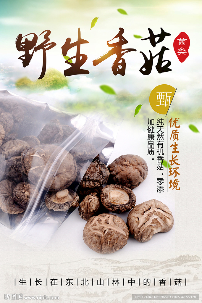 野生香菇
