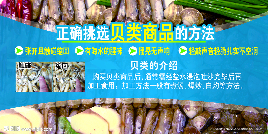贝类挑选方法