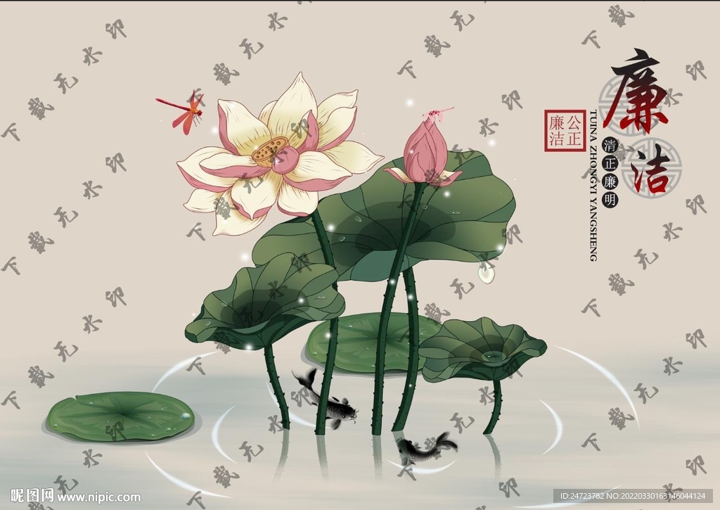 荷花