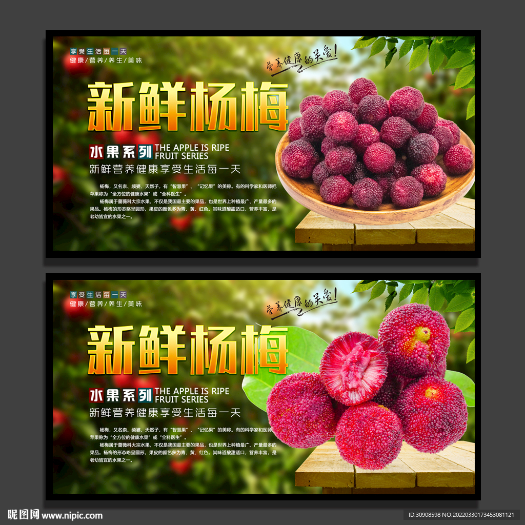 杨梅