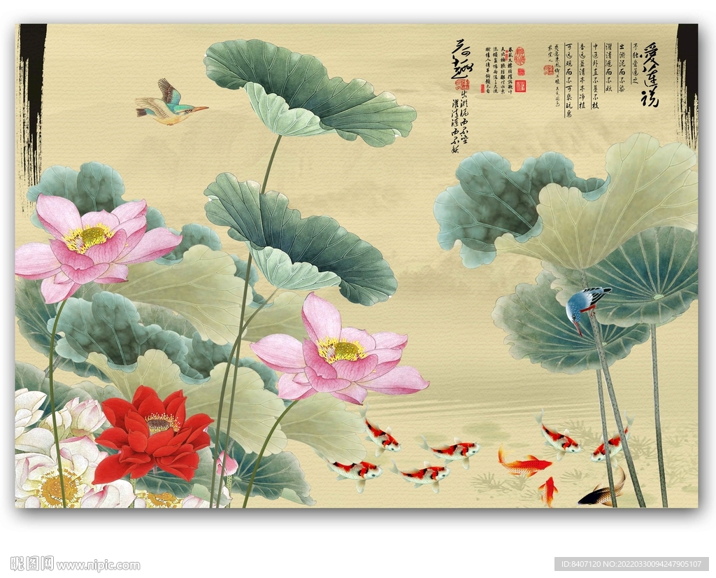 荷花九鱼图
