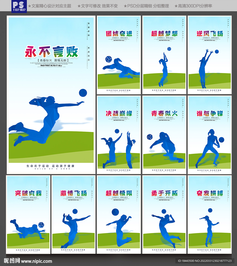 排球