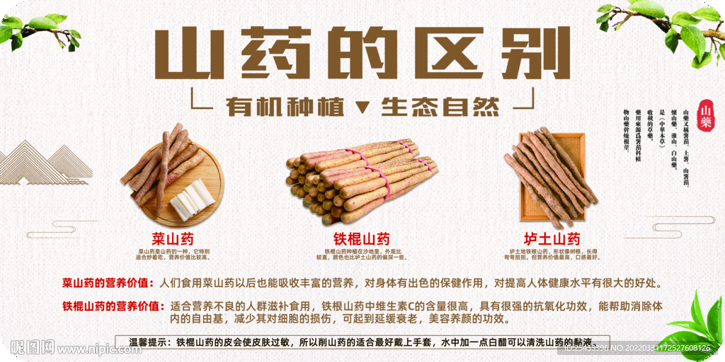 山药区别
