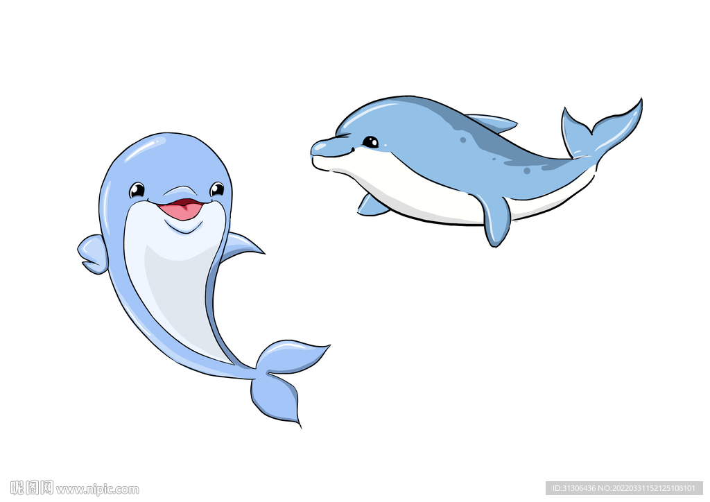 海豚插画卡通