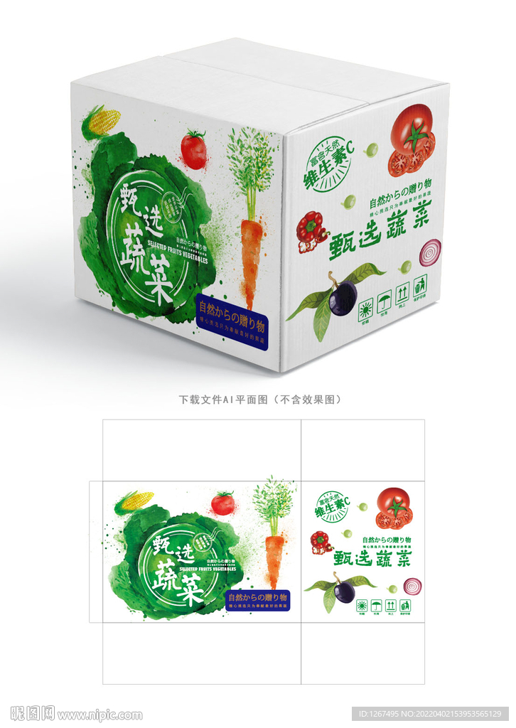 蔬菜包装 