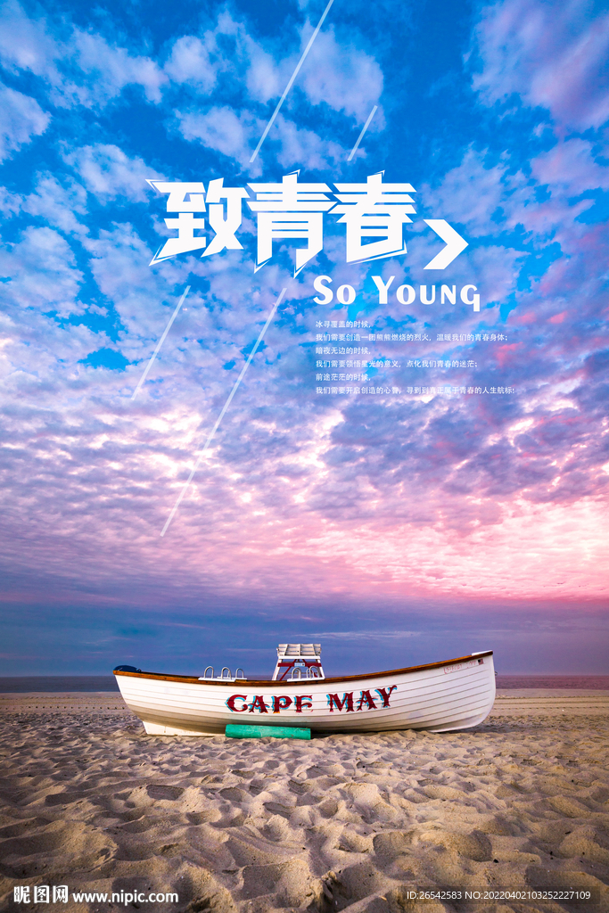 致青春海报