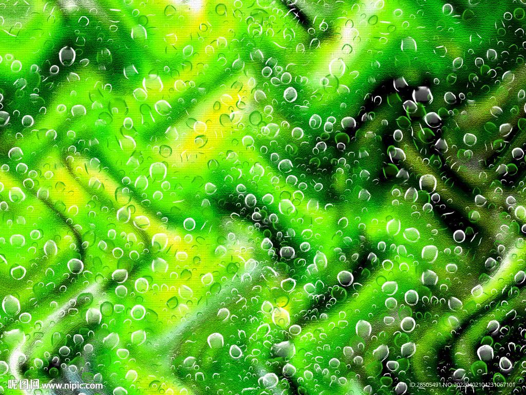 绿色背景 水珠背景