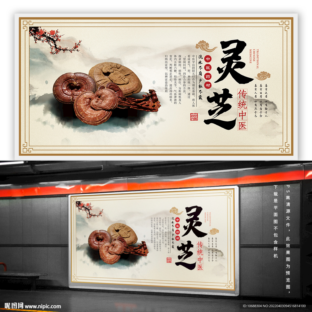 中药灵芝海报