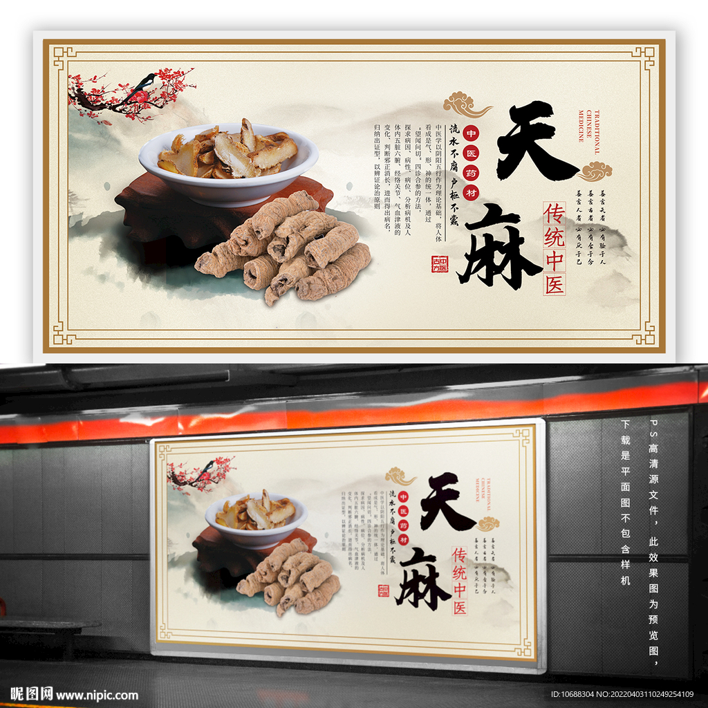 中药天麻海报