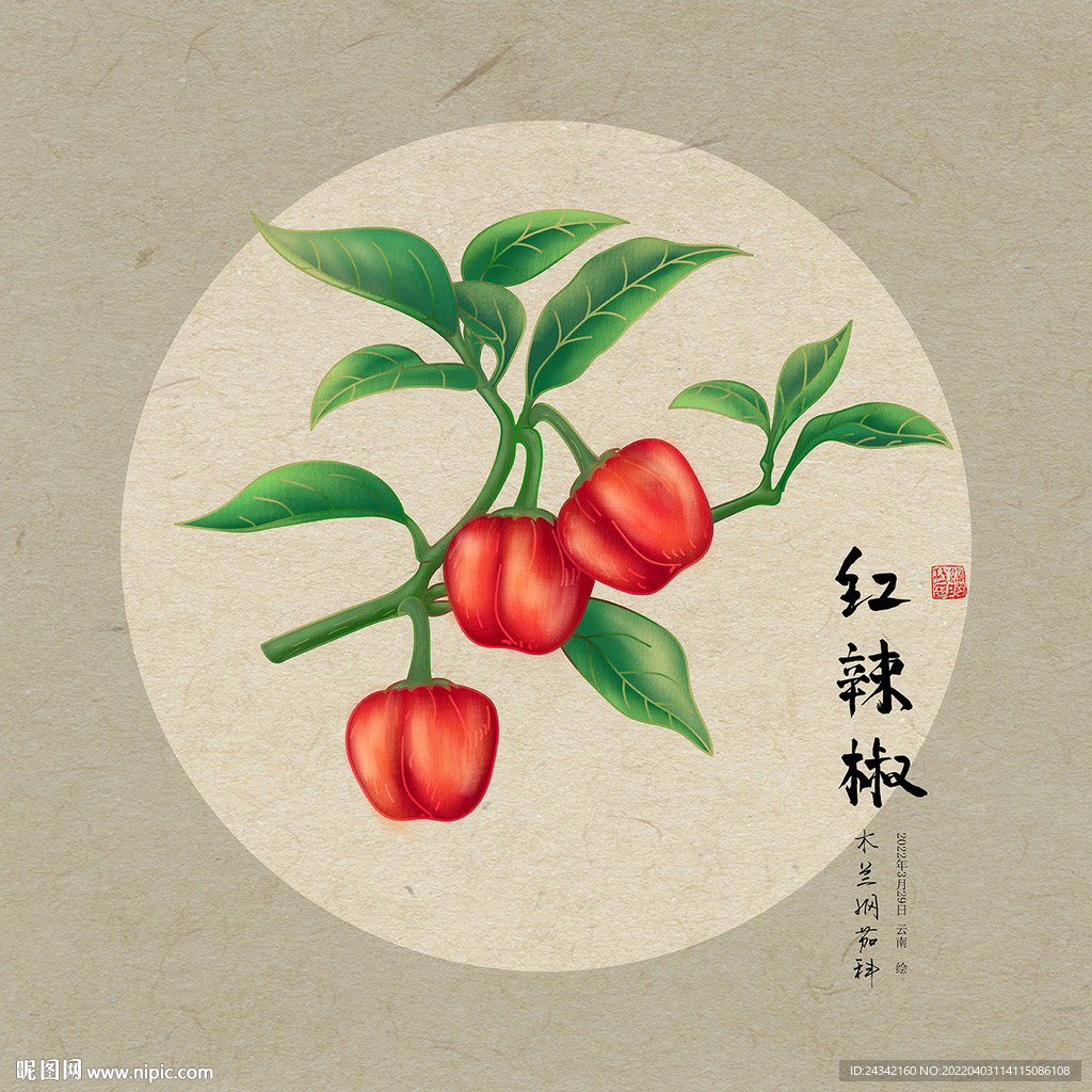手绘辣椒