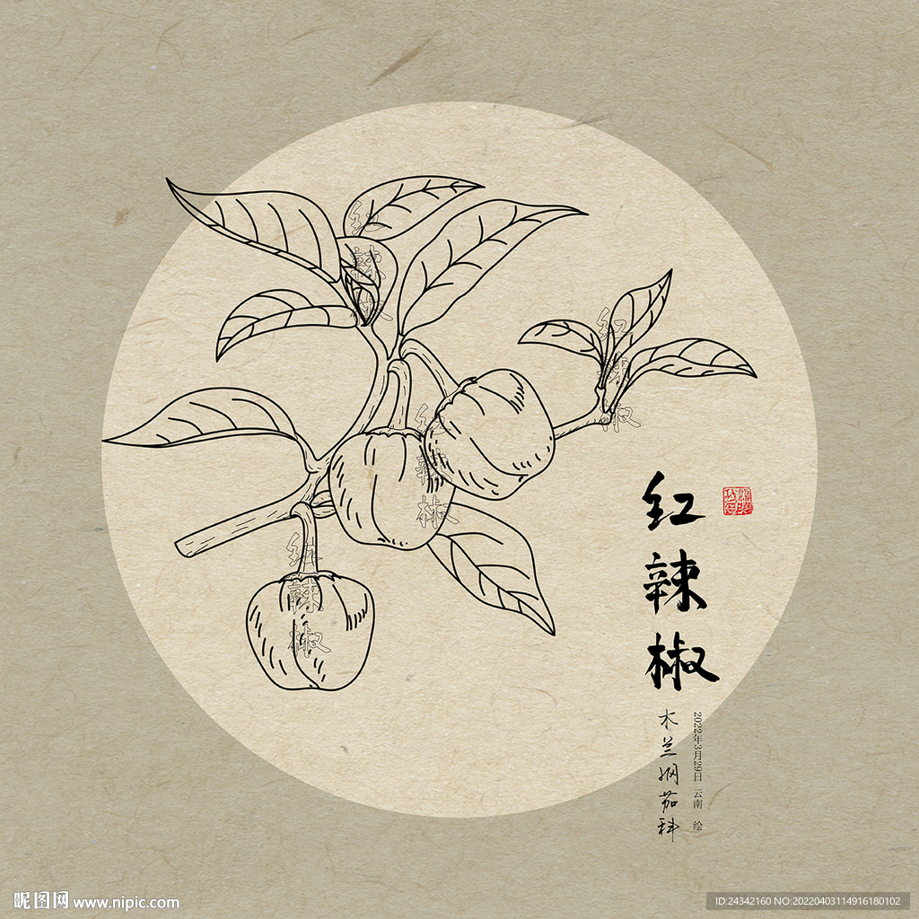 手绘辣椒