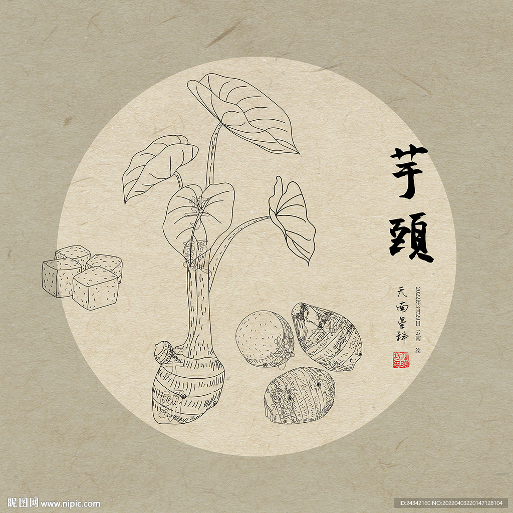 手绘芋头