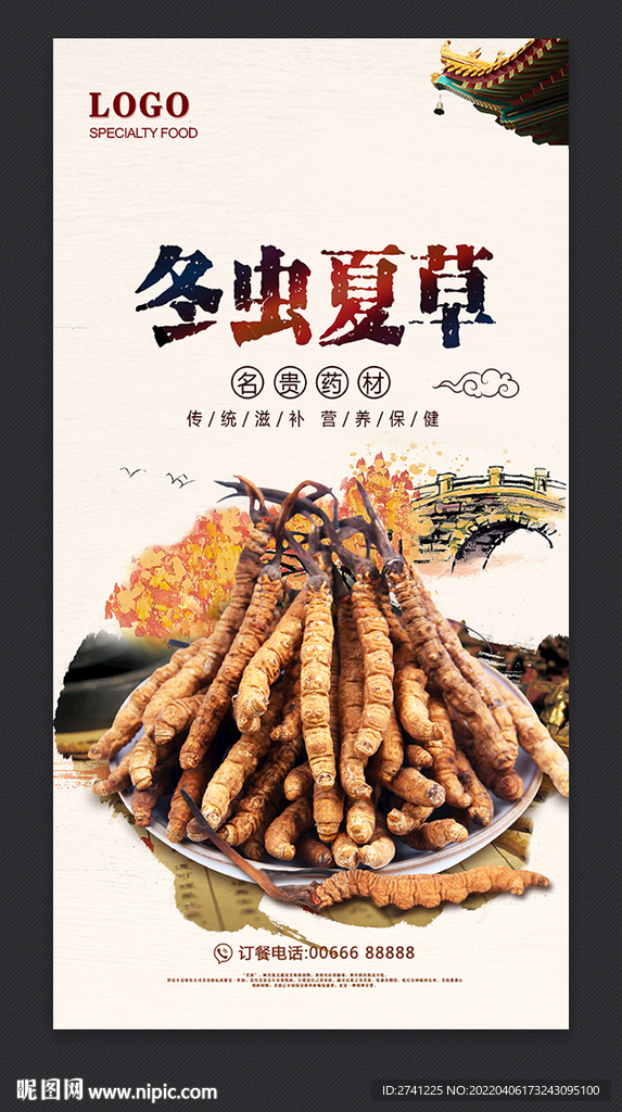 冬虫夏草