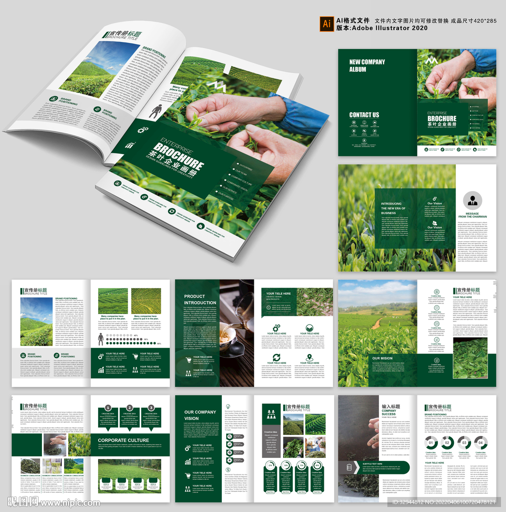 茶叶宣传册 