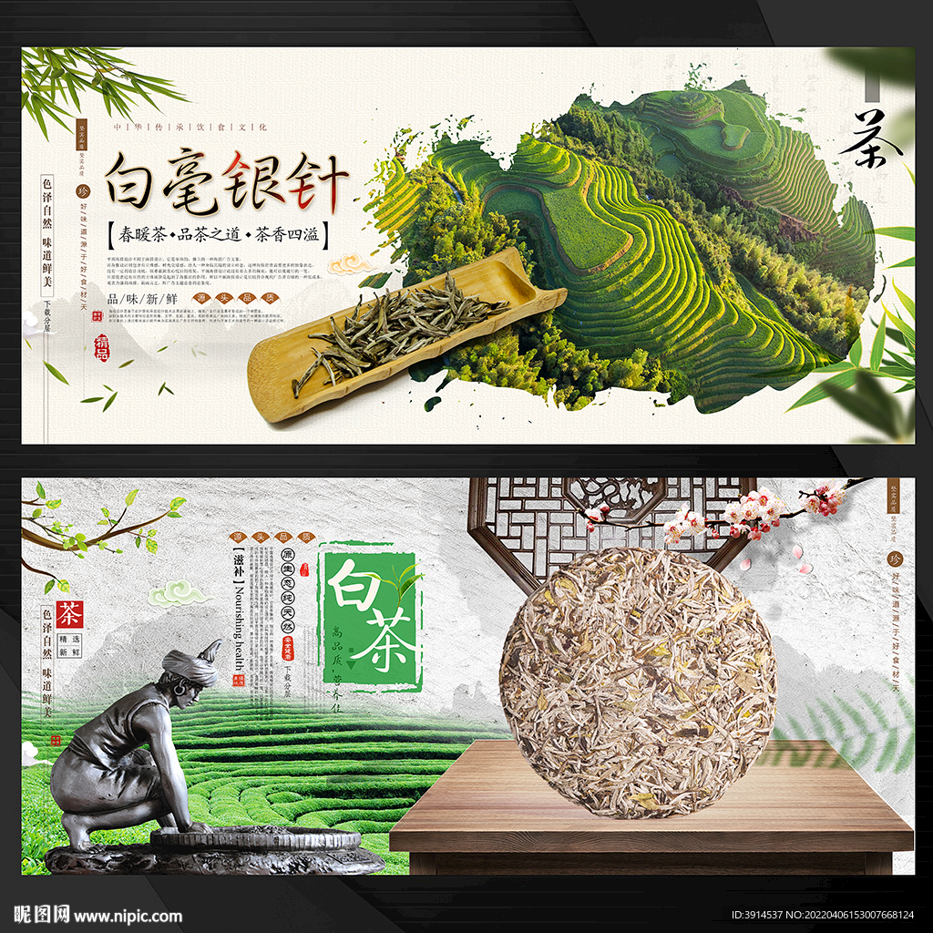 白毫银针
