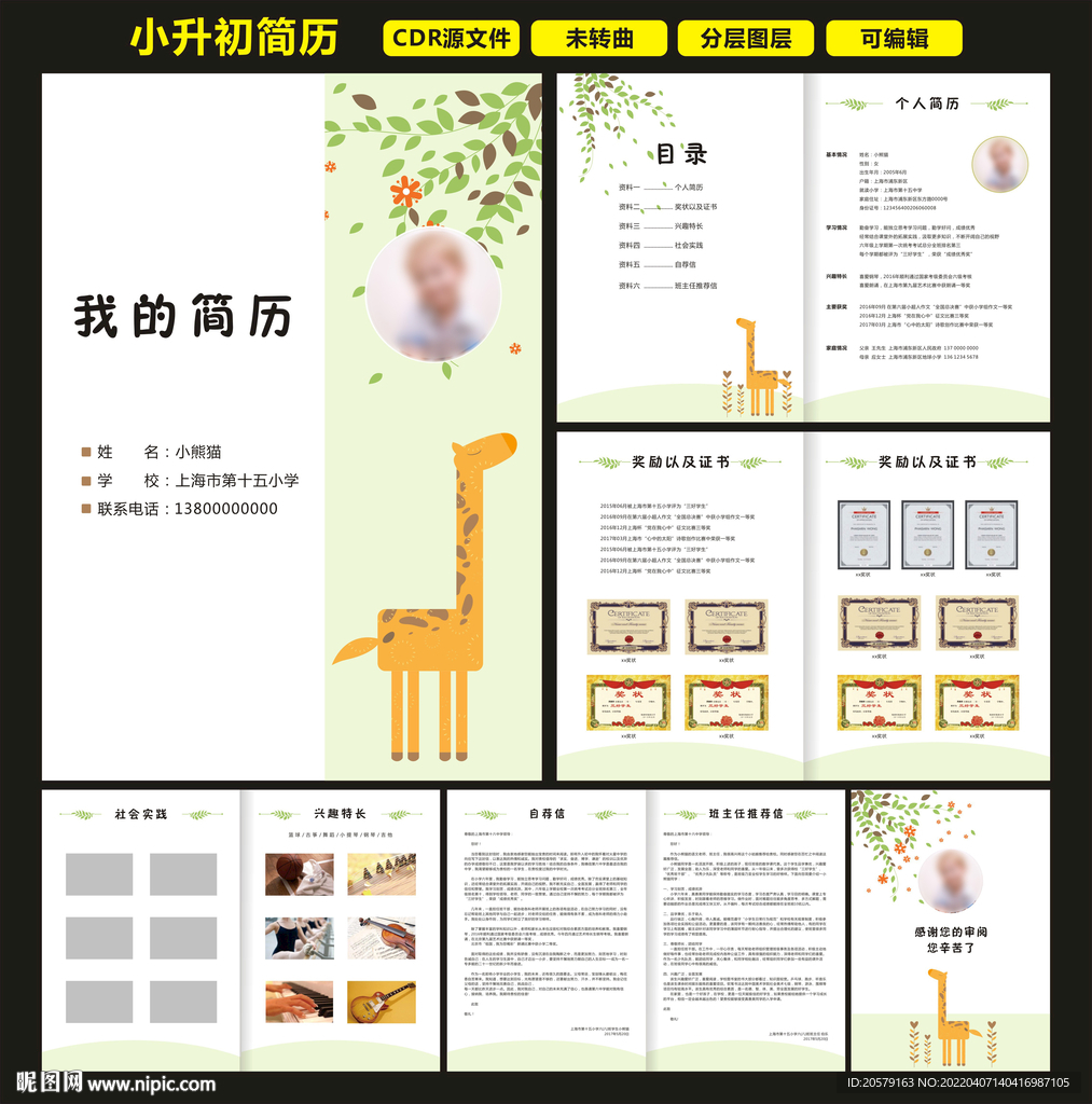 小升初简历