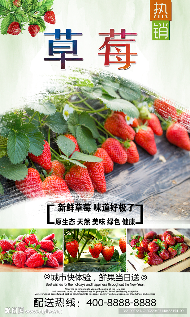 草莓  