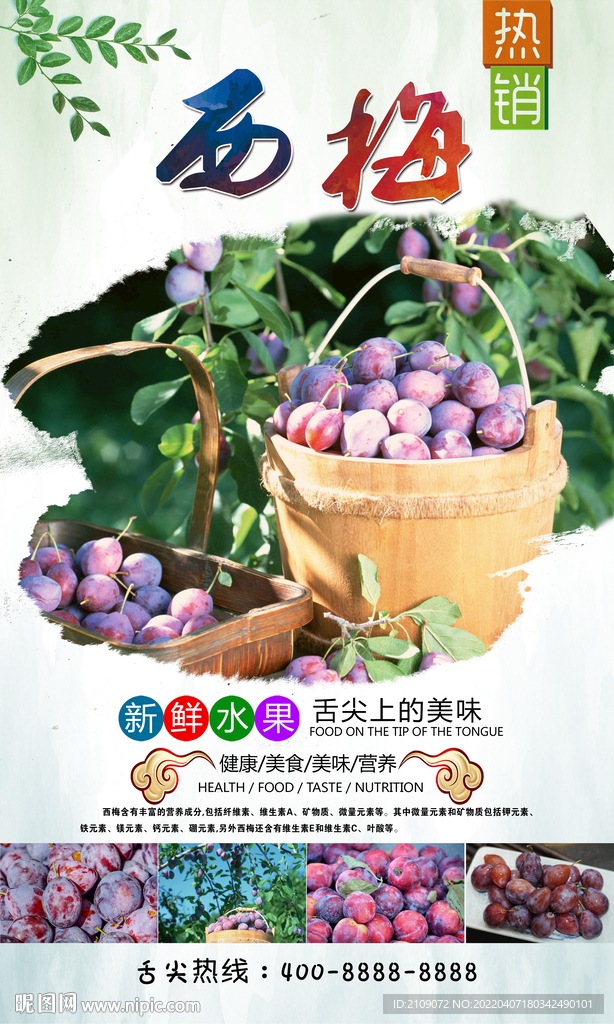  西梅 