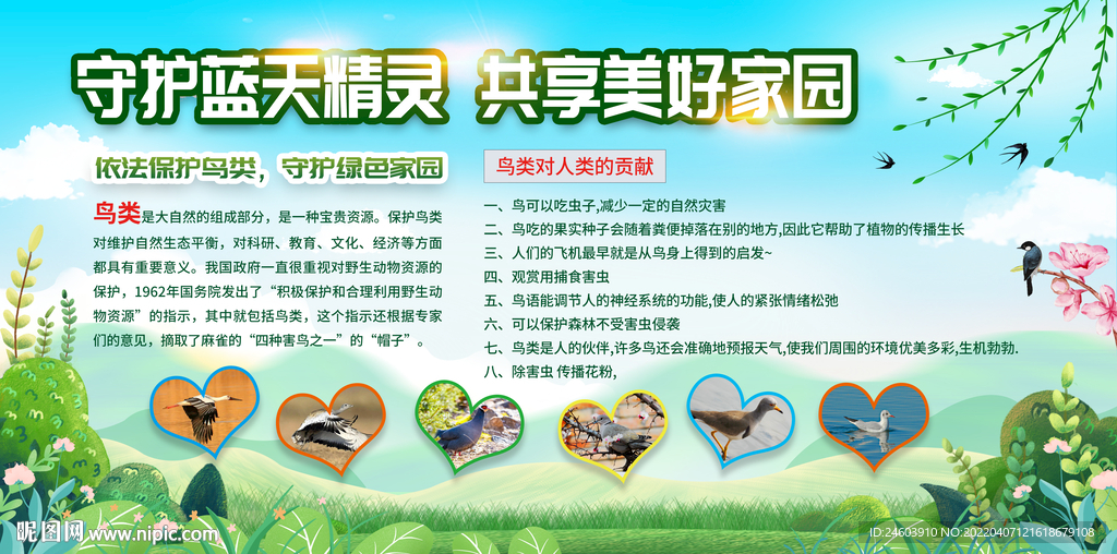 爱鸟日