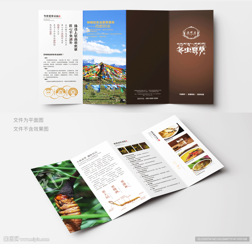 冬虫夏草广告折页