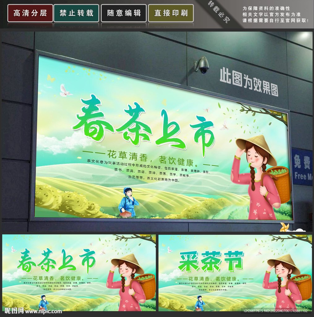 春茶