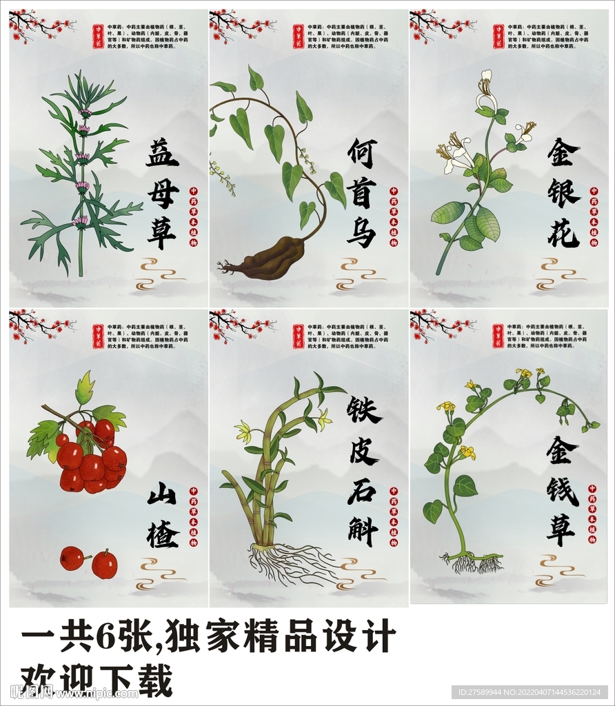 手绘中草药