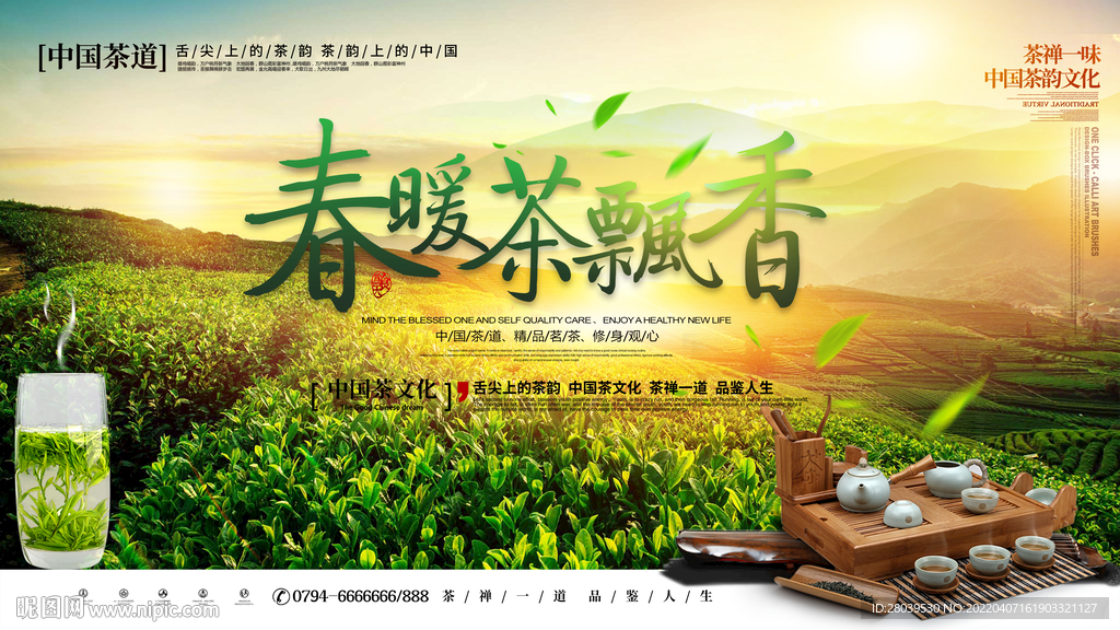 春茶