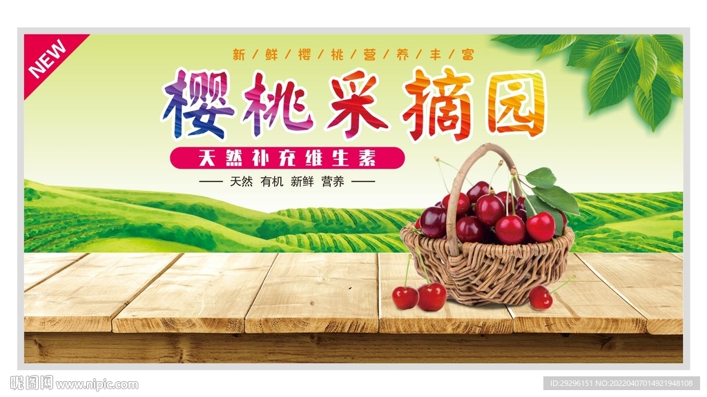 樱桃采摘园 