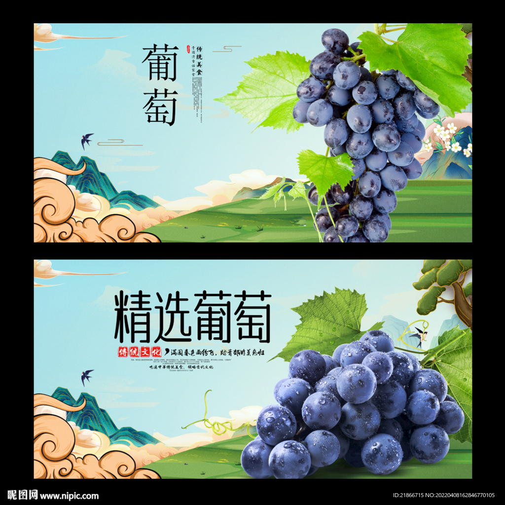 葡萄