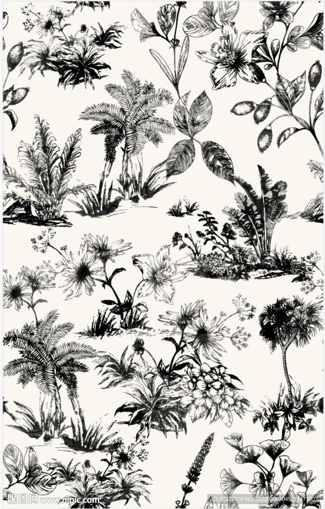 大牌  黑花  植物花