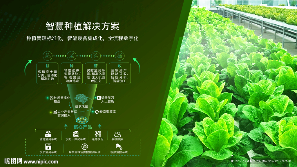 PPT 思维导图 架构图 排版