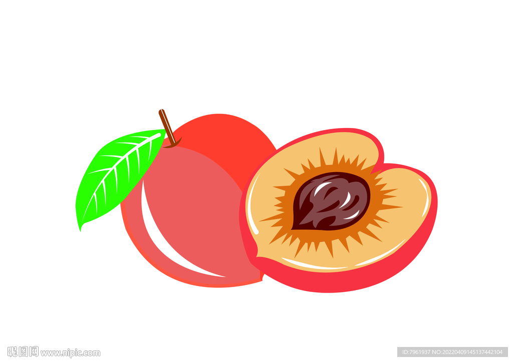 蜜桃矢量图