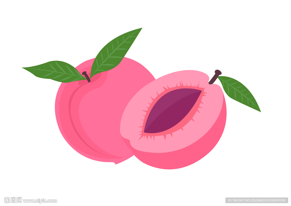 水蜜桃矢量图