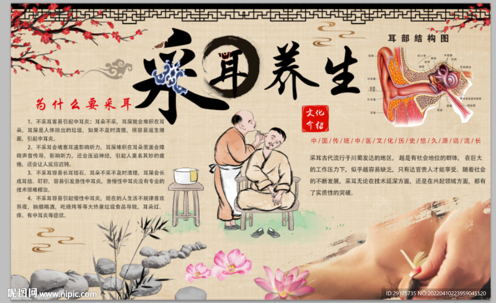 采耳养生