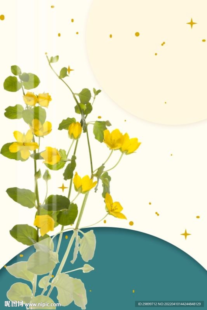 小黄花