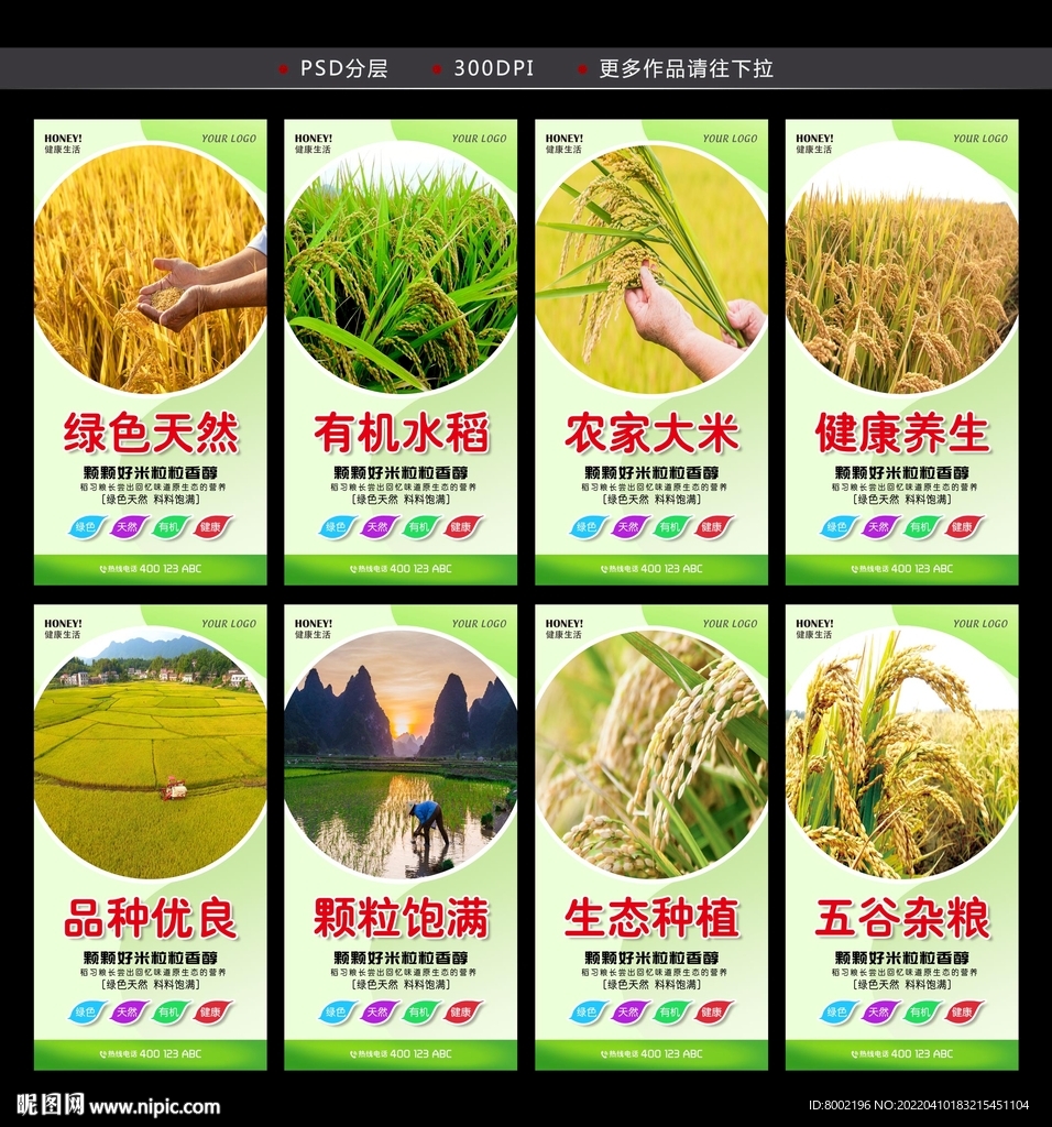 水稻 