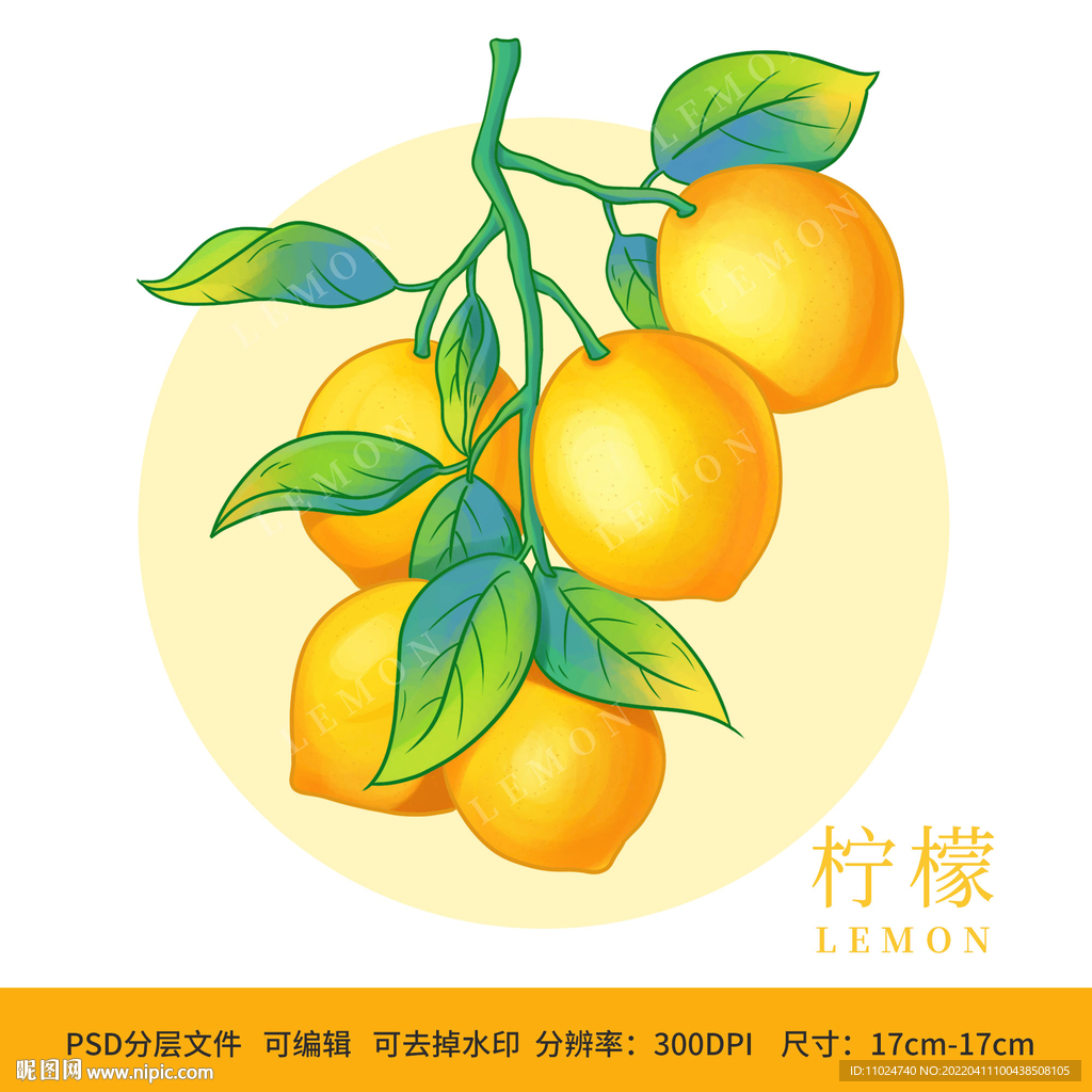 手绘水果柠檬包装插画