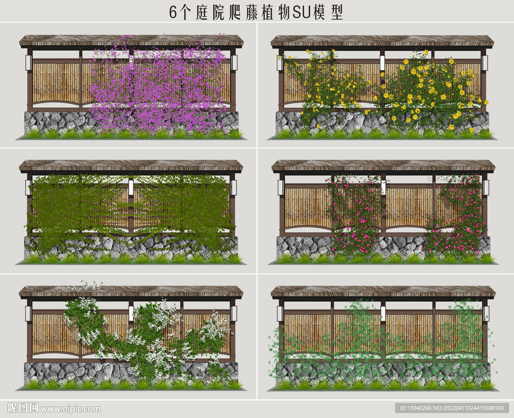 庭院爬藤植物