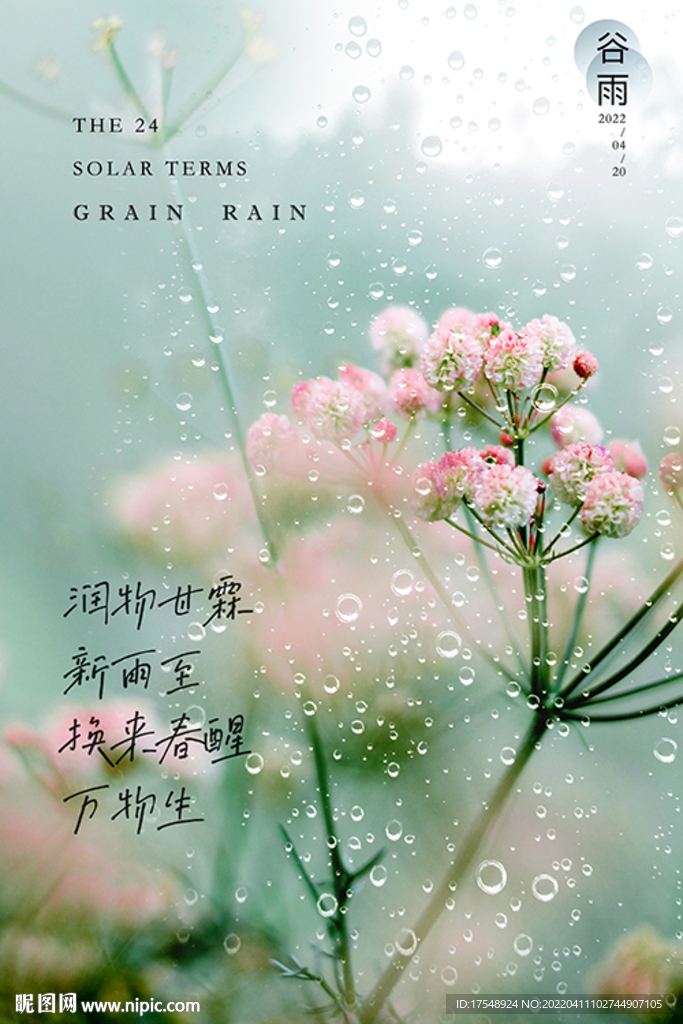 谷雨海报