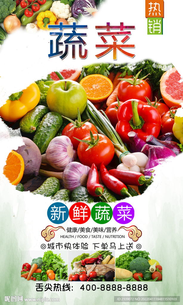 蔬菜  