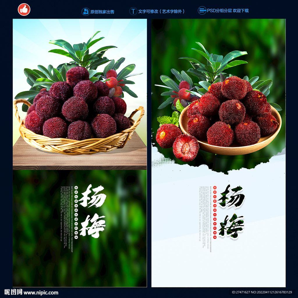 杨梅