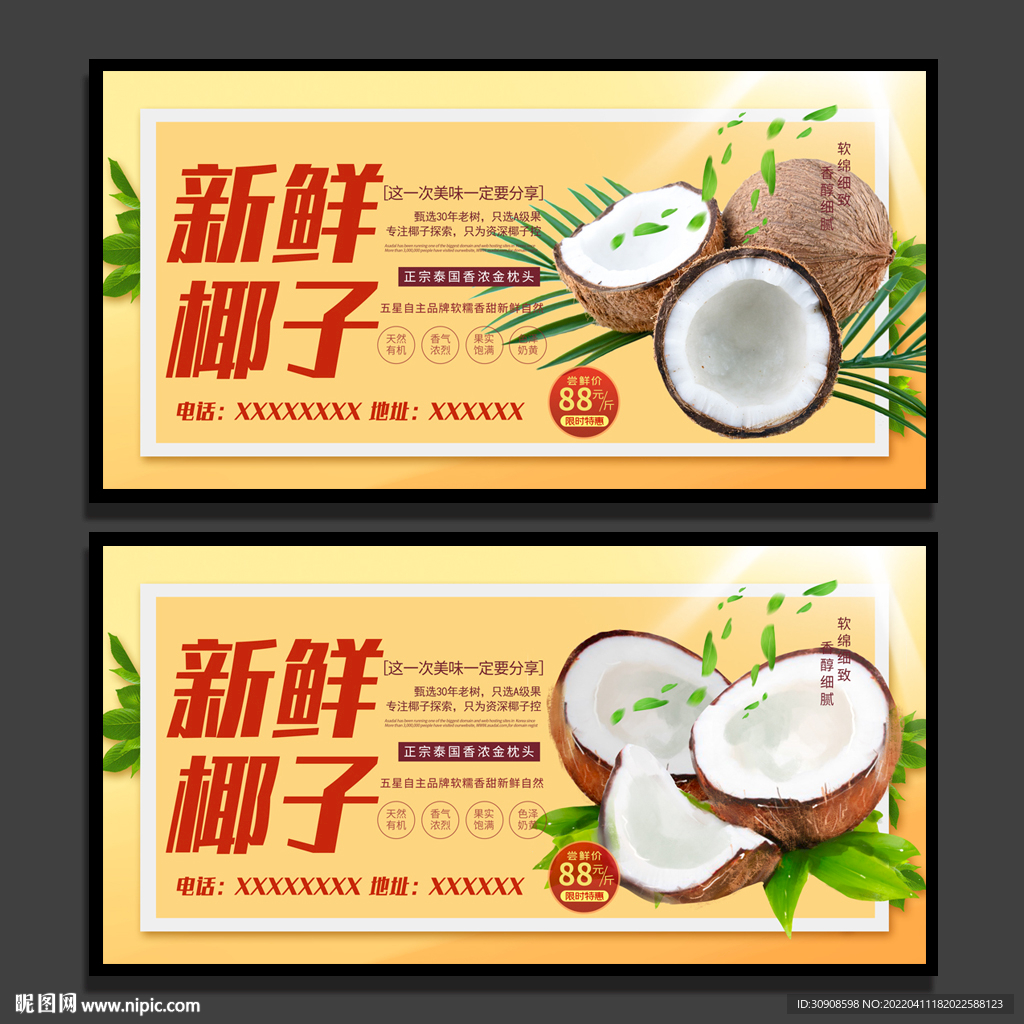 椰子