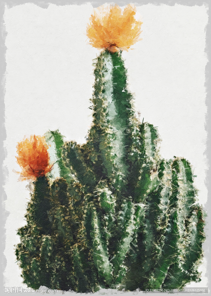 50X70厘米版画素材仙人掌花