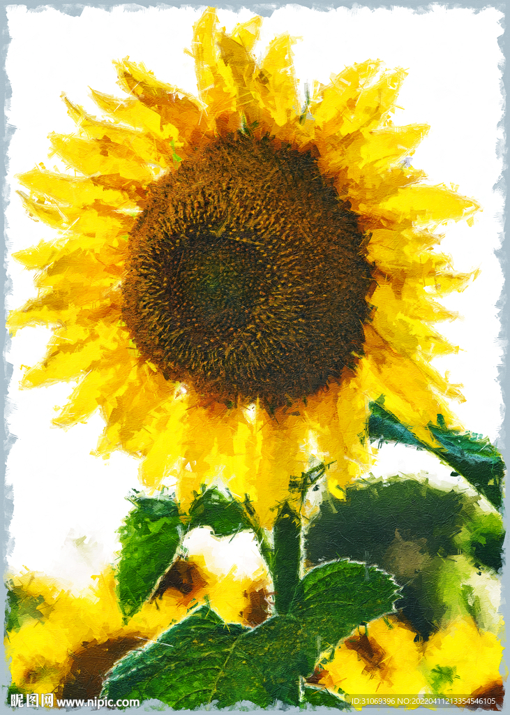 50X70厘米版画素材向日葵花