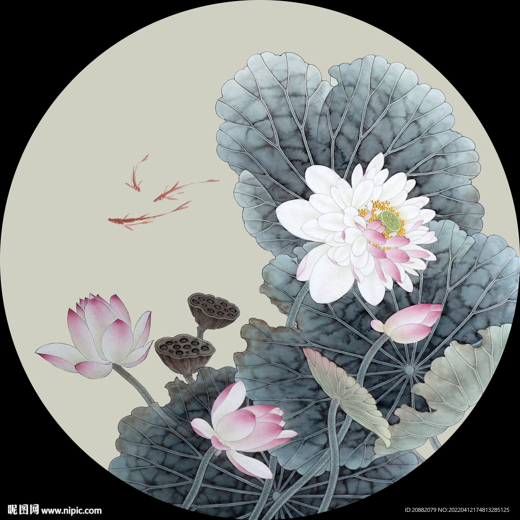 工笔荷花