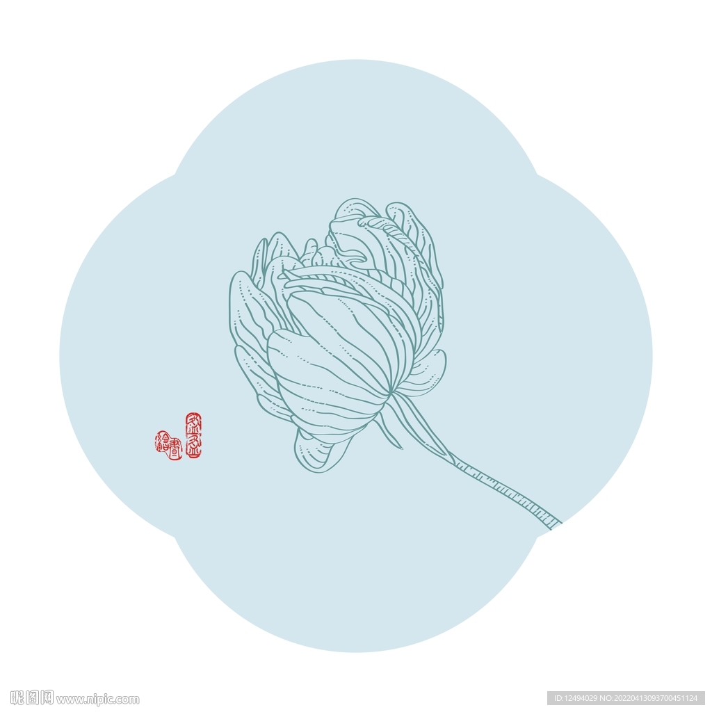 芍药花