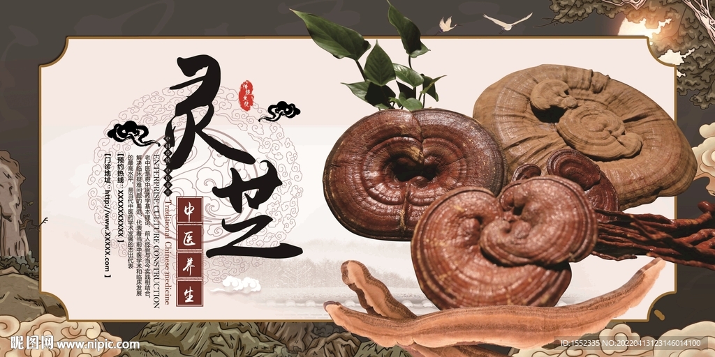 灵芝
