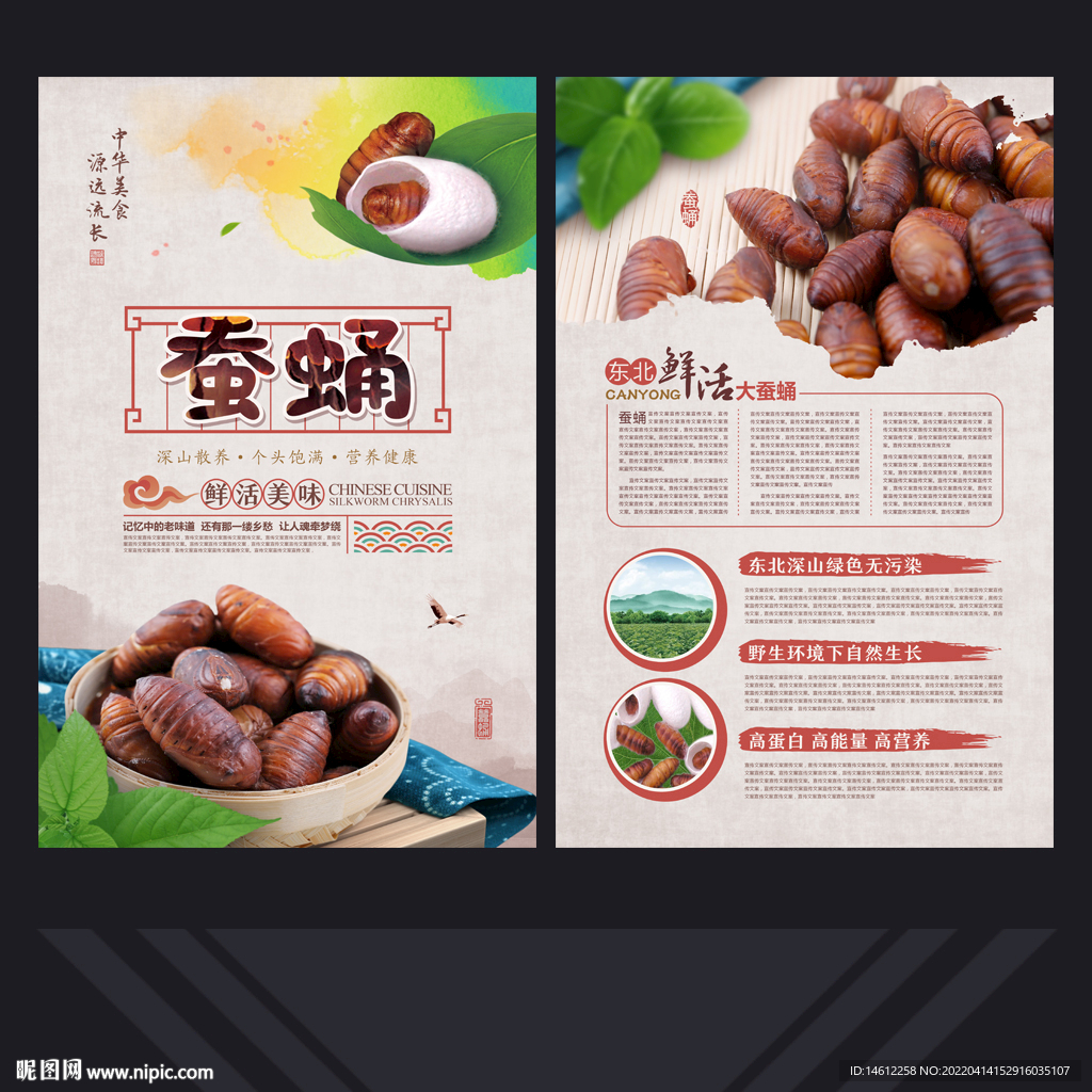 蚕蛹