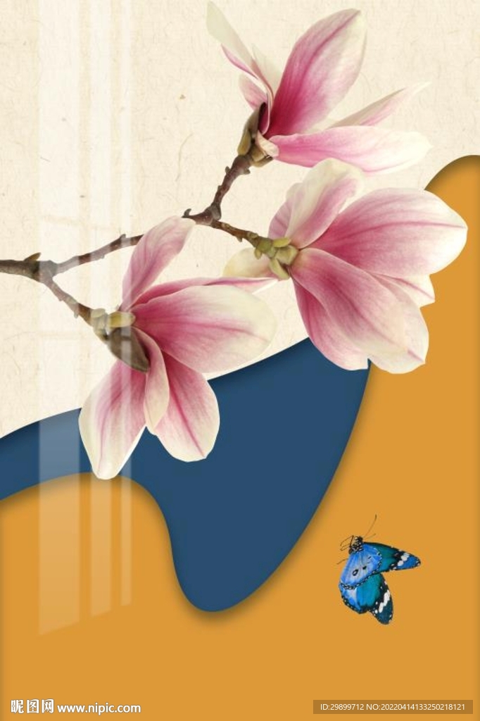 玉兰花