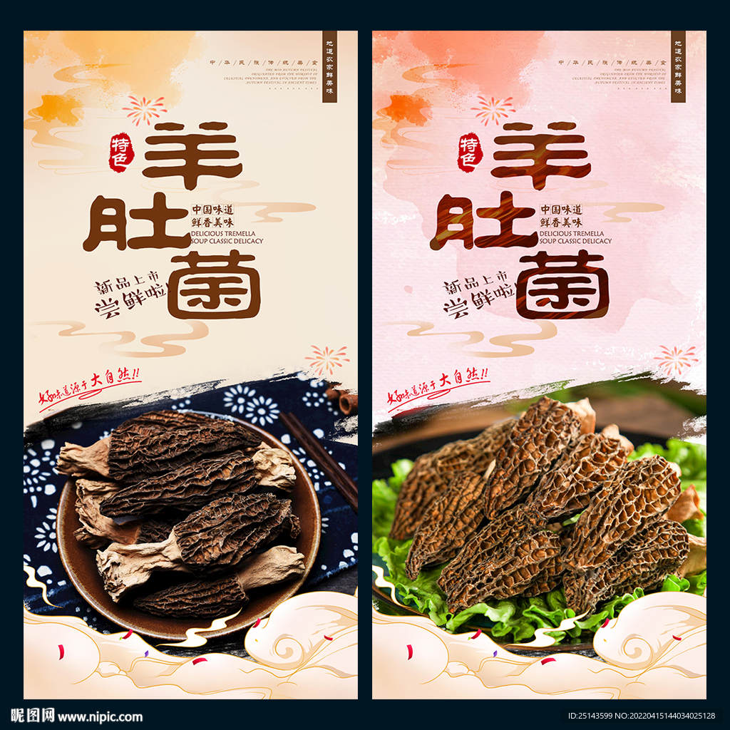 羊肚菌